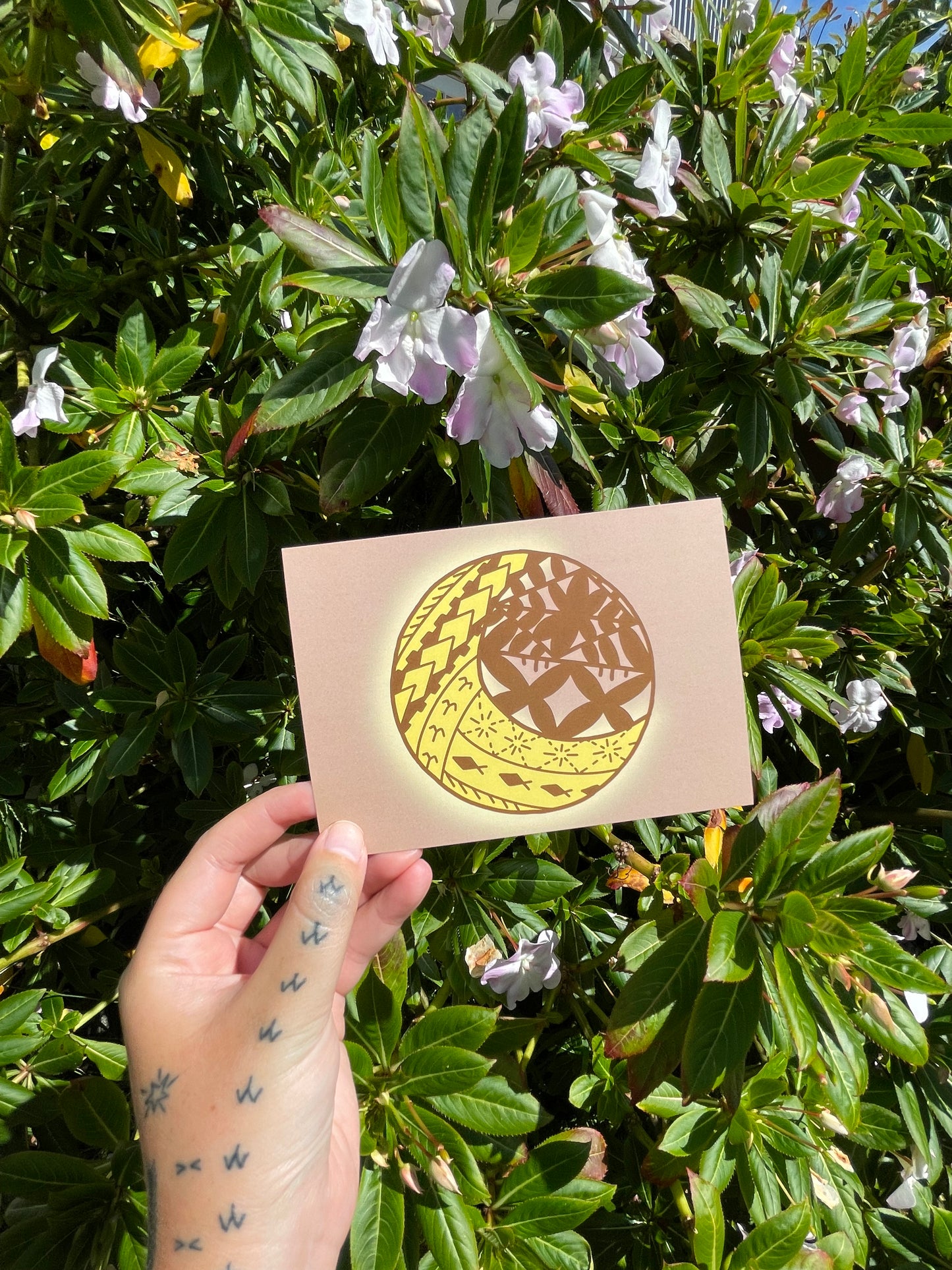 Pasifika Postcards (Set of 6)