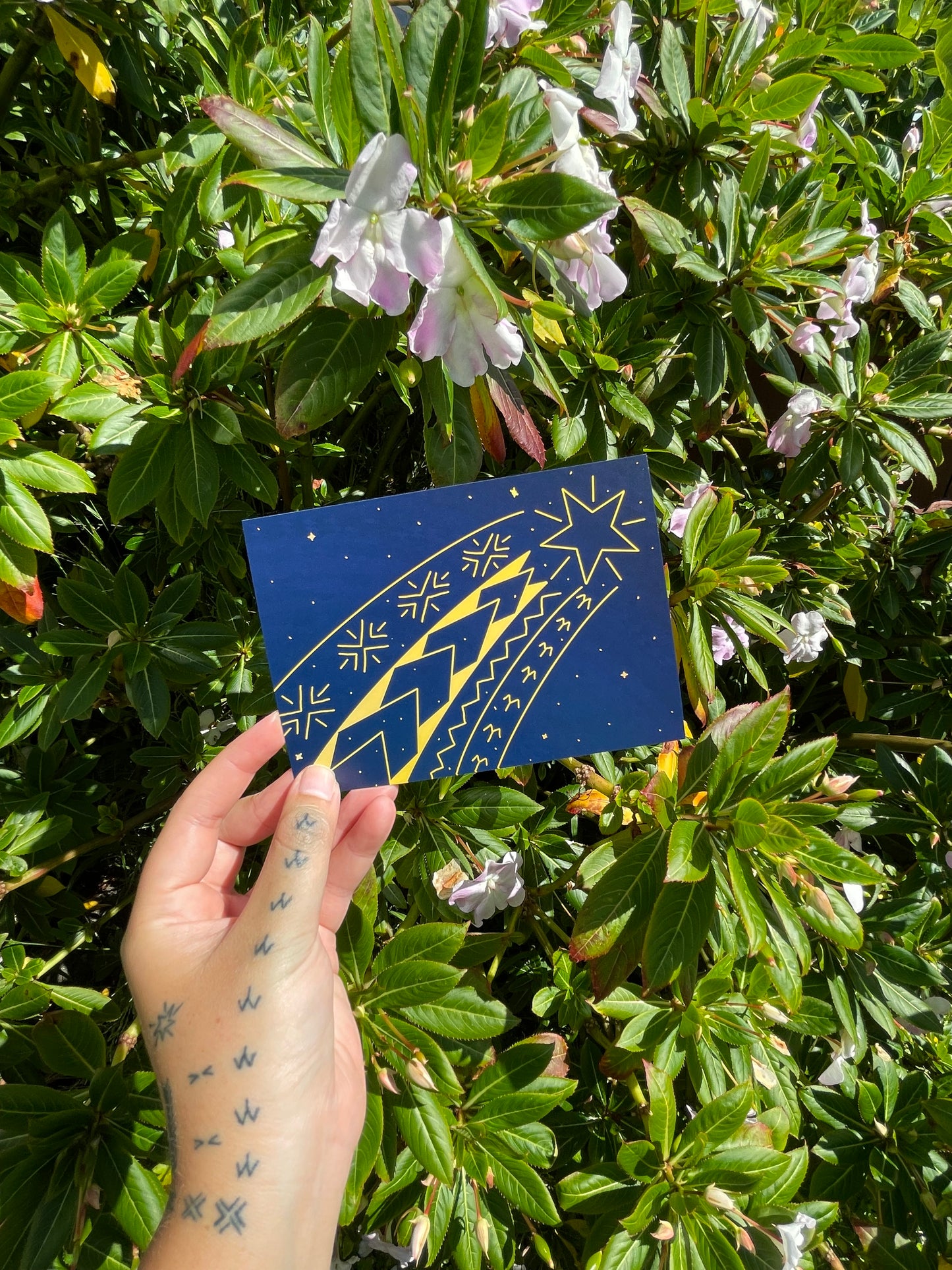 Pasifika Postcards (Set of 6)