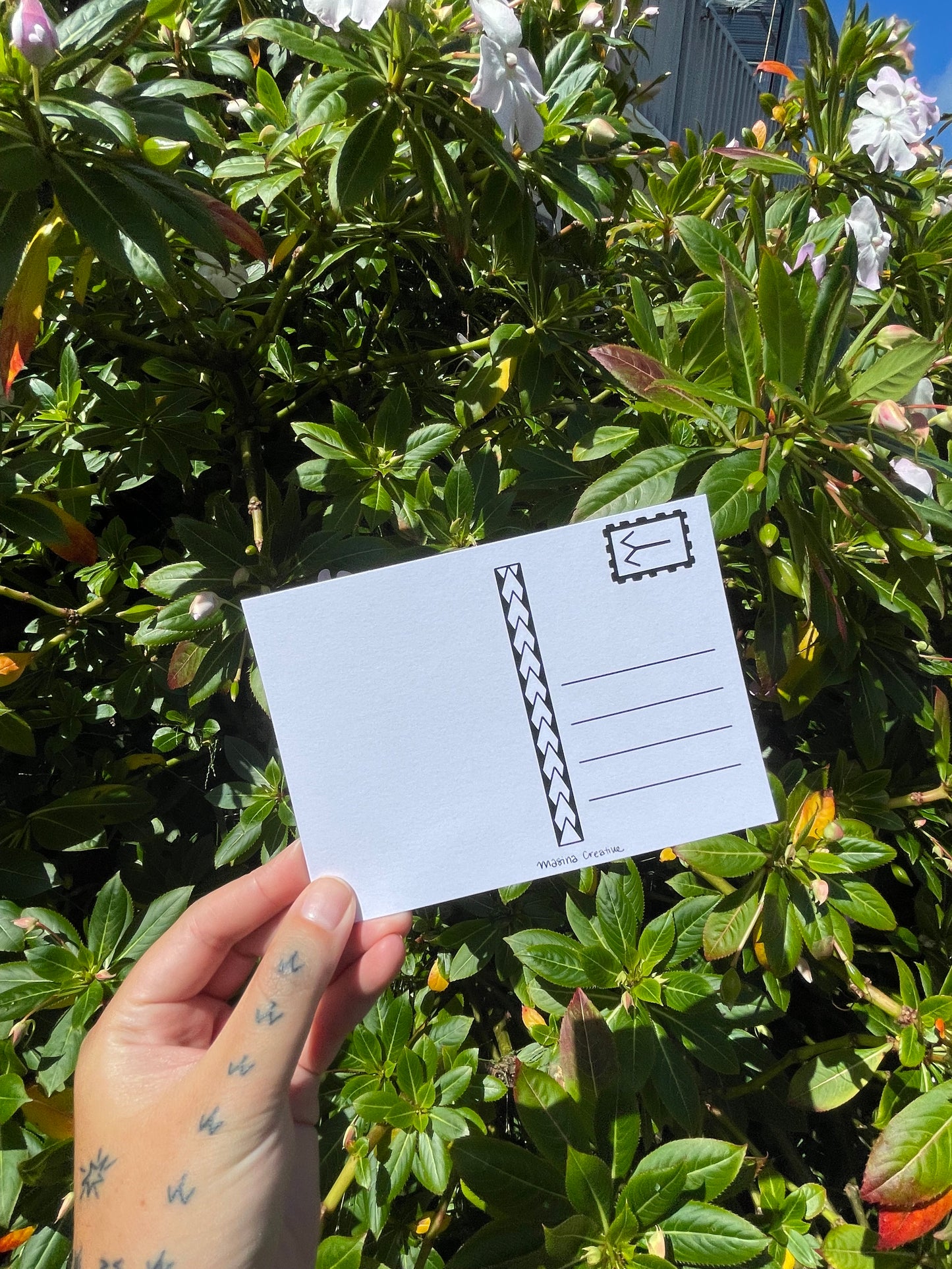 Pasifika Postcards (Set of 6)